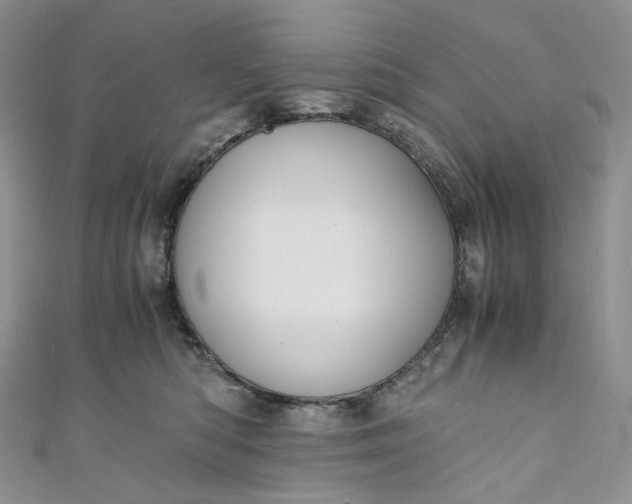 X0000110890422200907021521