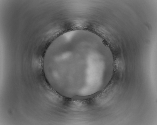 X0000110890423200907021521