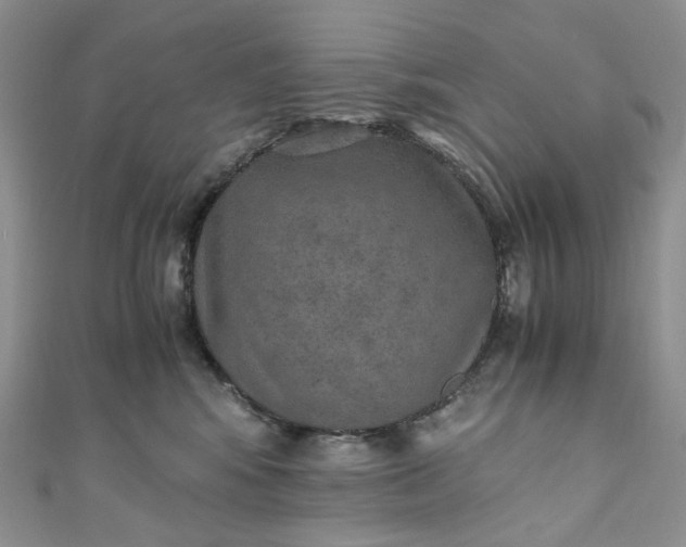 X0000110890424200907021521