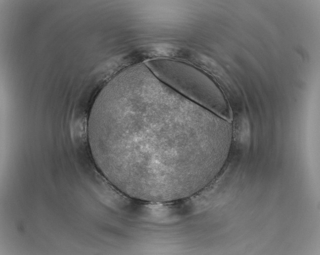 X0000110890425200907021521