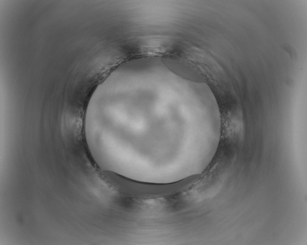 X0000110890427200907021521