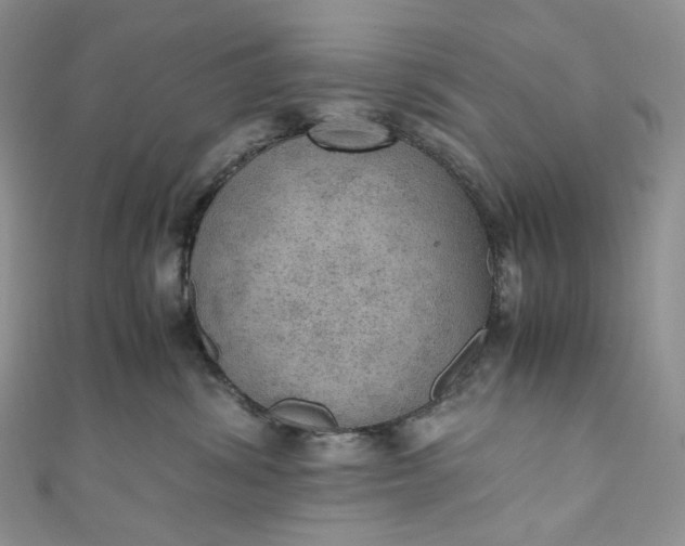 X0000110890428200907021521