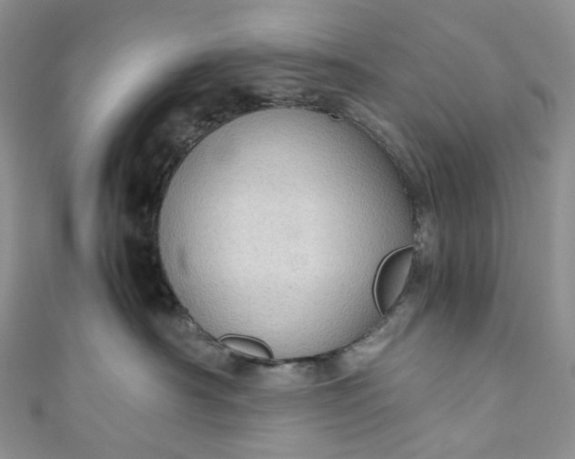 X0000110890430200907021521