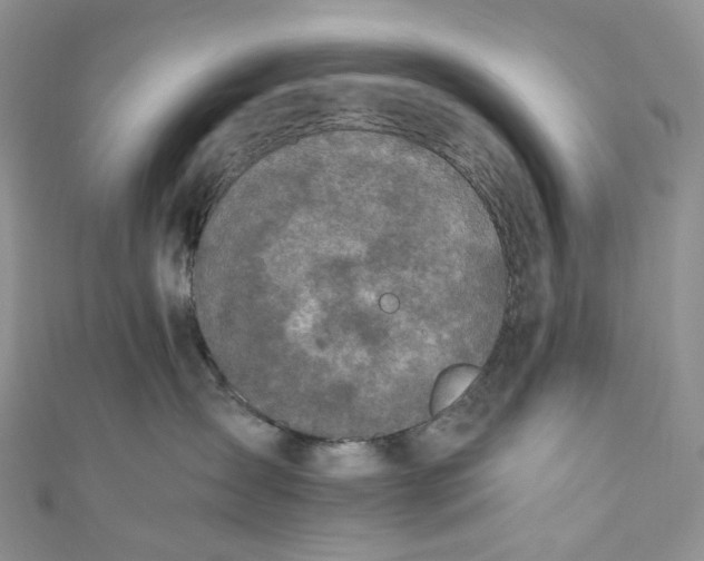 X0000110890431200907021521