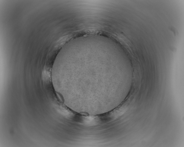 X0000110890432200907021521