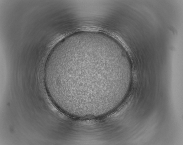 X0000110890433200907021520