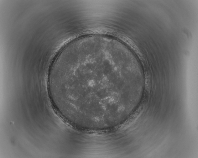 X0000110890434200907021520