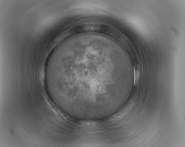 X0000110890435200907021520