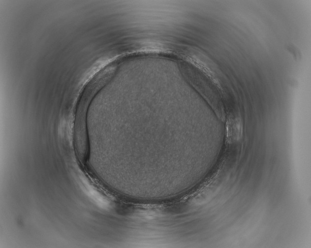 X0000110890436200907021520