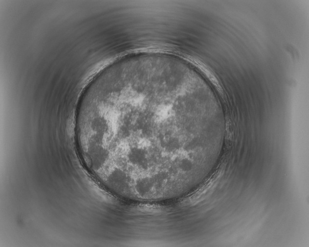 X0000110890437200907021520