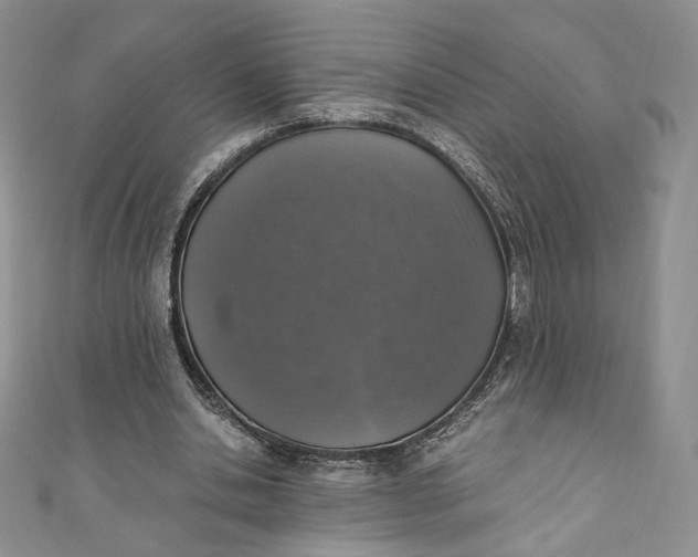 X0000110890438200907021520