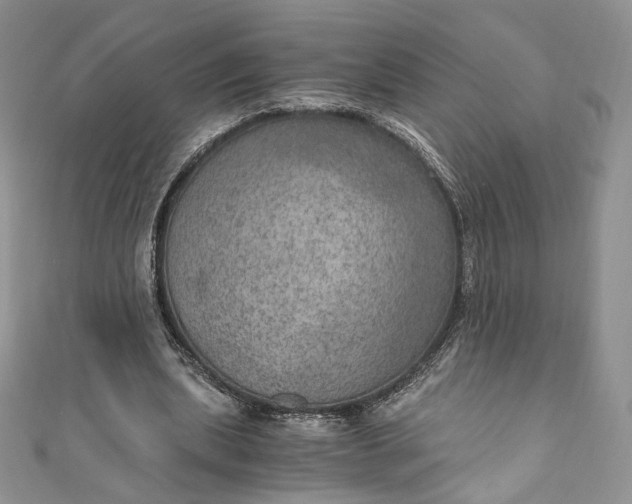 X0000110890439200907021520