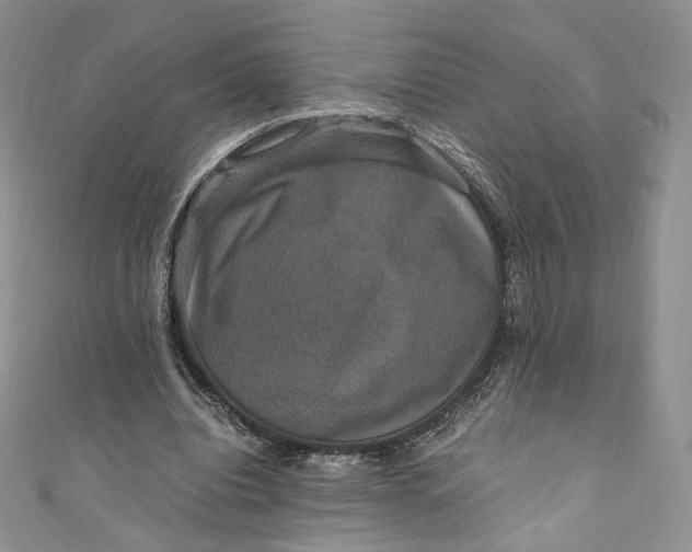 X0000110890440200907021520