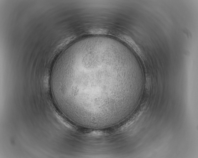 X0000110890441200907021520