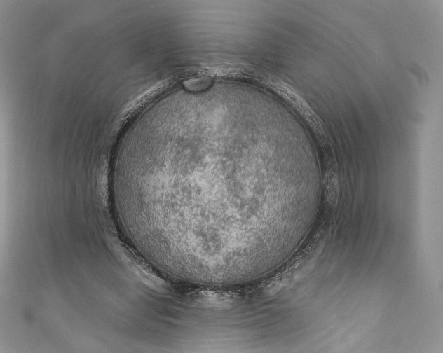 X0000110890442200907021520