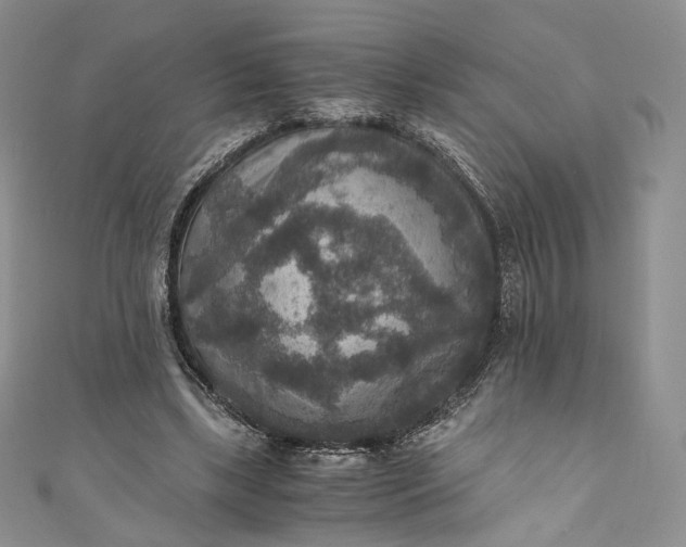 X0000110890443200907021520