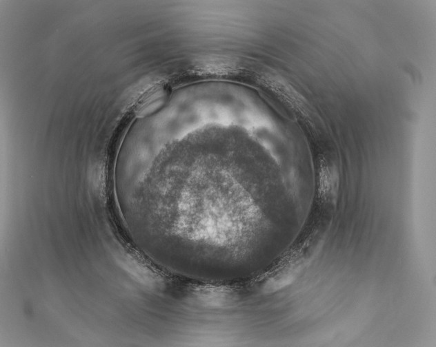 X0000110890444200907021520