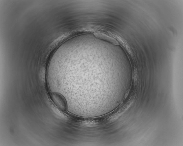 X0000110890445200907021520