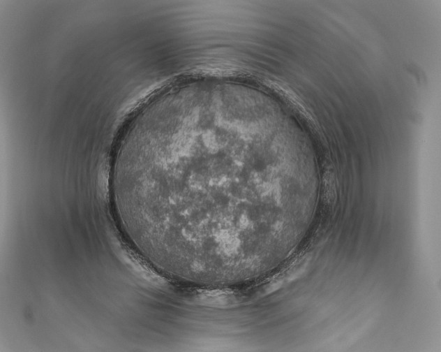 X0000110890446200907021520