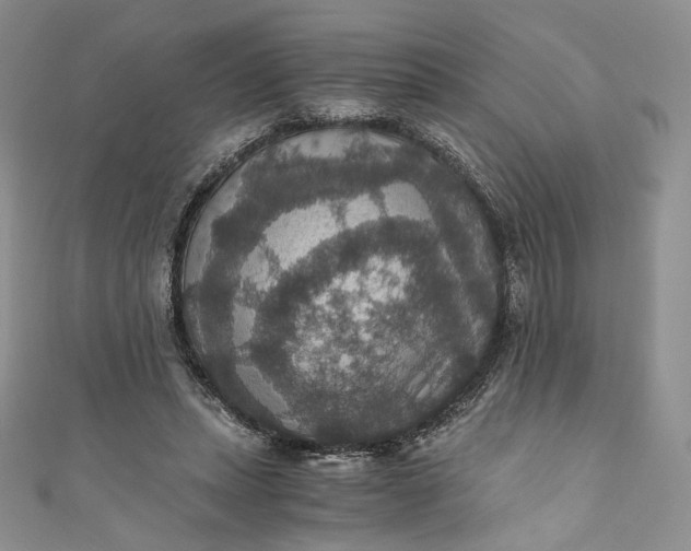 X0000110890447200907021520