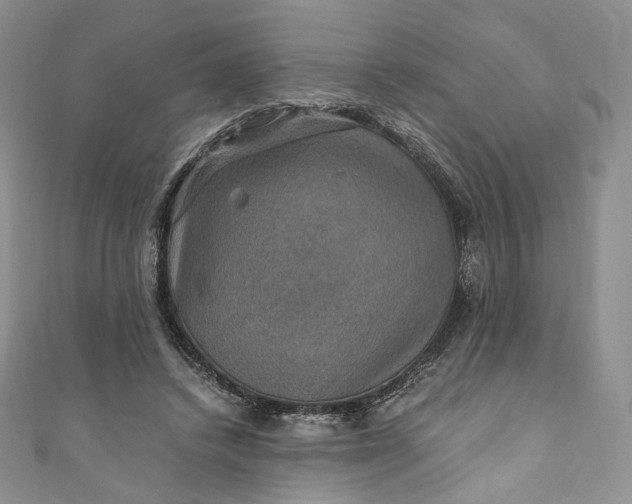 X0000110890448200907021520