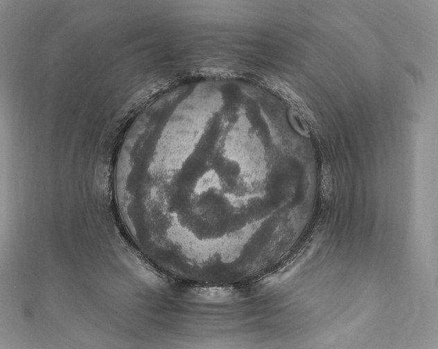 X0000110890449200907021520