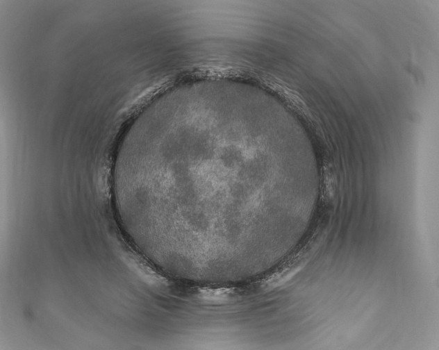 X0000110890450200907021520