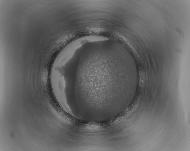 X0000110890451200907021520