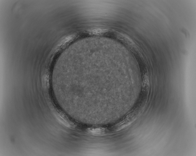 X0000110890452200907021521