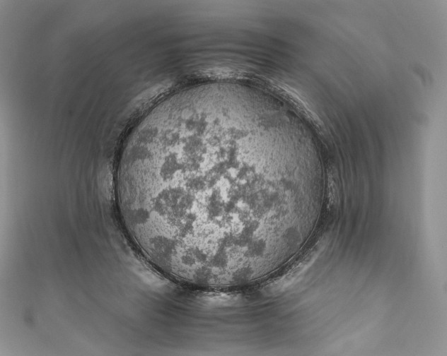 X0000110890453200907021521