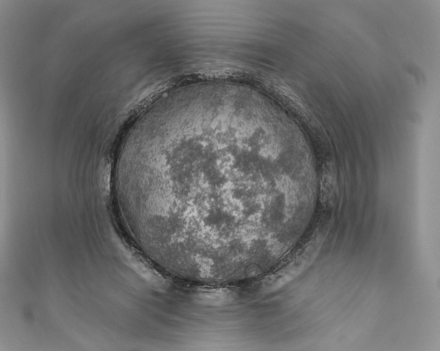 X0000110890454200907021521