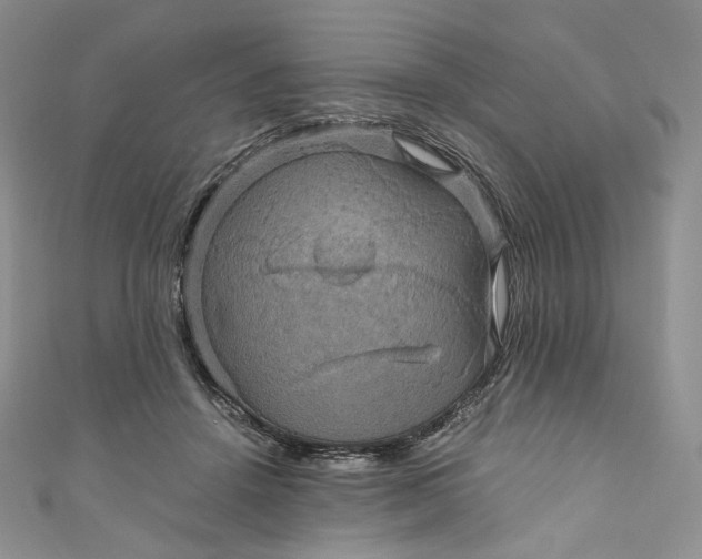 X0000110890456200907021521