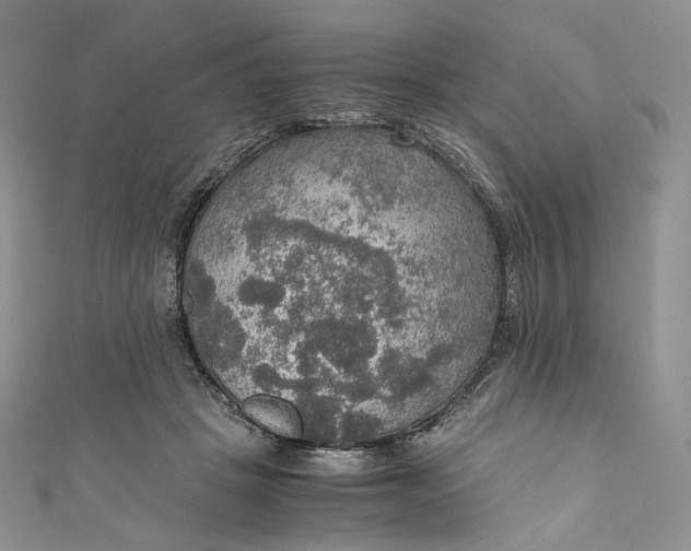 X0000110890457200907021521