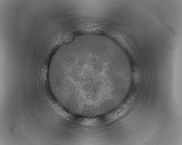 X0000110890458200907021521