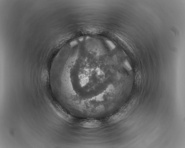 X0000110890459200907021521