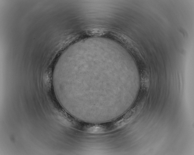 X0000110890460200907021521