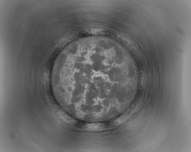 X0000110890461200907021521