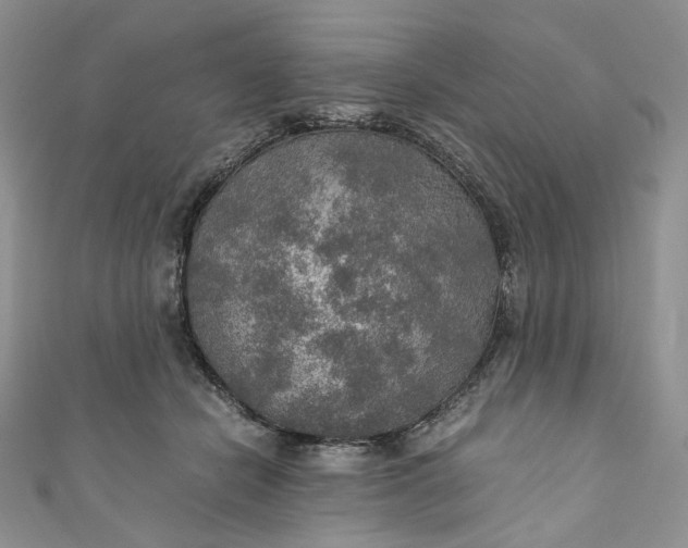 X0000110890462200907021521