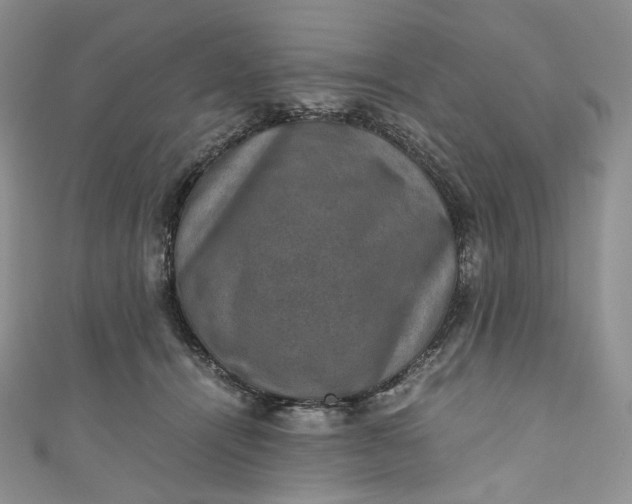 X0000110890464200907021521