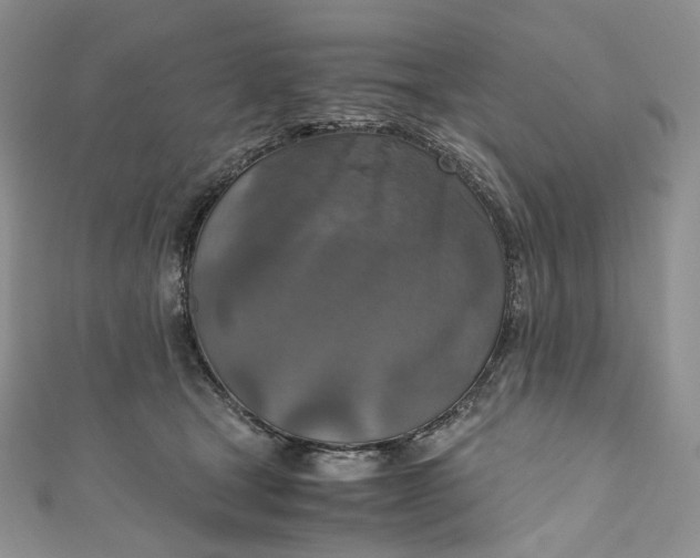 X0000110890465200907021521