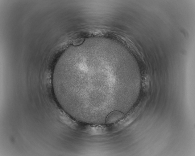 X0000110890466200907021521