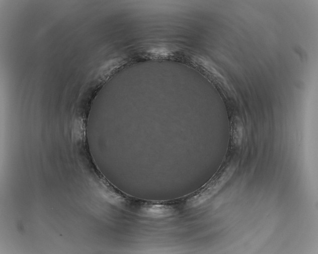 X0000110890467200907021521