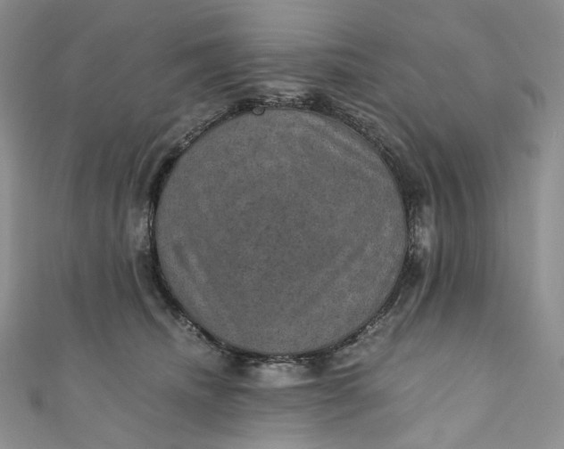 X0000110890468200907021521