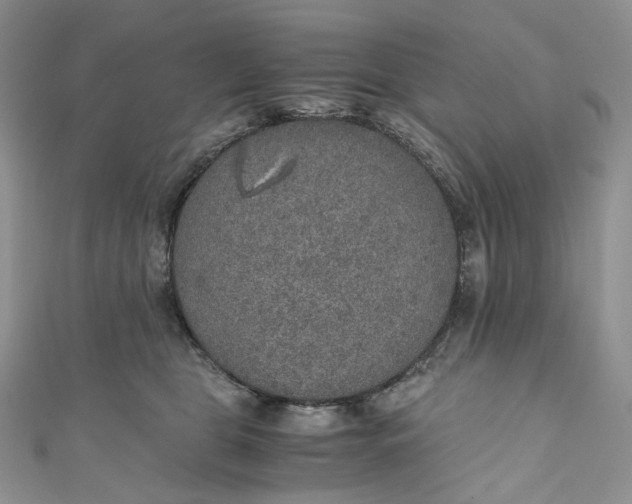 X0000110890469200907021521