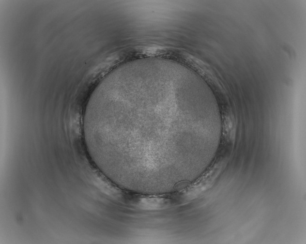 X0000110890470200907021521