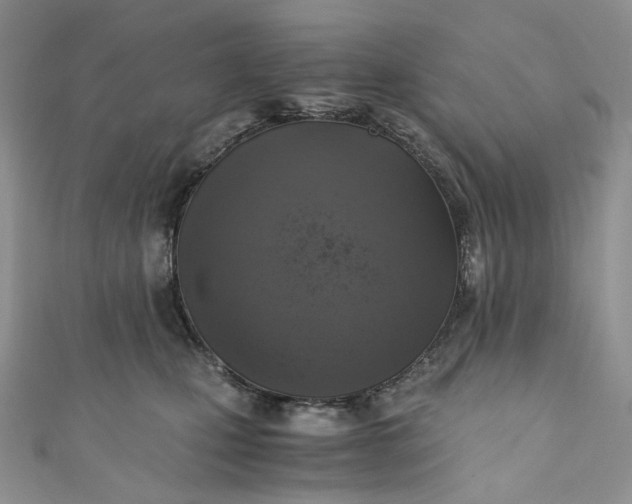 X0000110890471200907021521