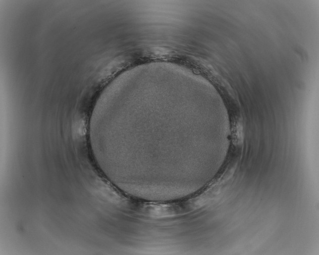 X0000110890472200907021521