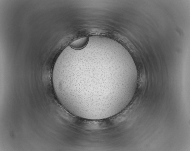 X0000110890473200907021521