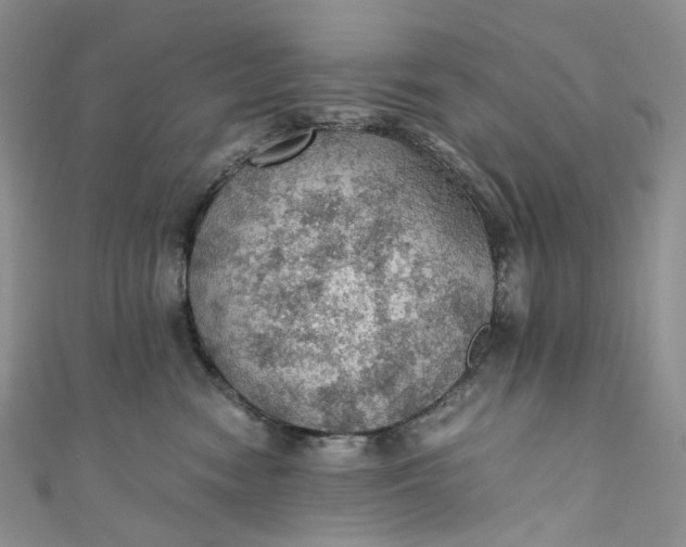 X0000110890474200907021521