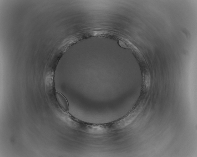 X0000110890475200907021521